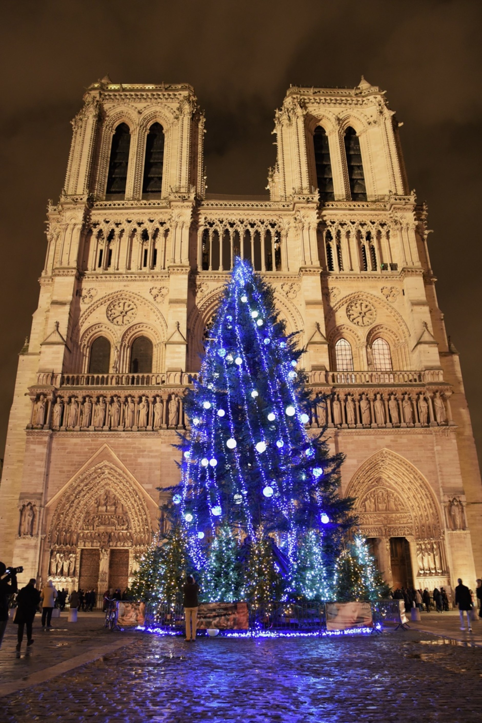 Article Mon-Bucheron.com : Pour un Noël parisien en grandes pompes, faites-vous livrer votre sapin