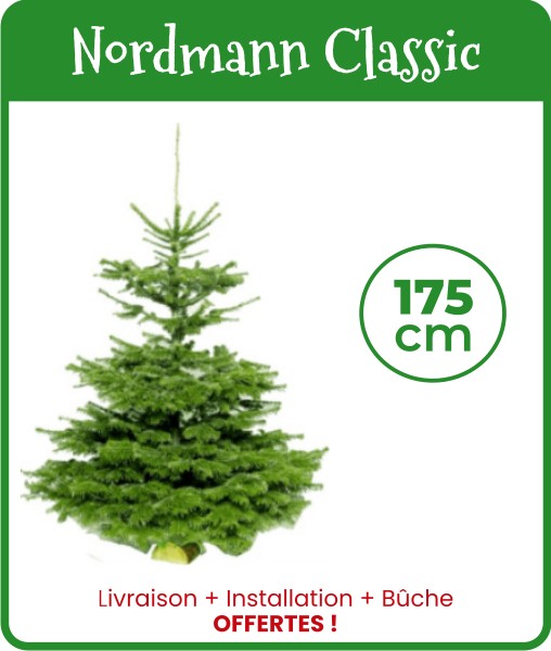 Notre Best Seller Sapin Nordmann Classic 175 cm
