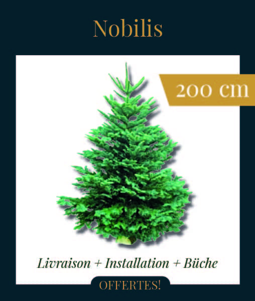 Livraison sapin de Noël Nobilis 200 cm