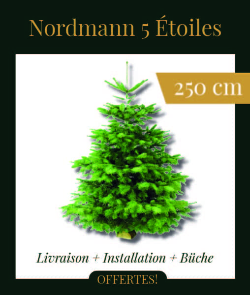 Livraison sapin de Noël Nordmann 5 Étoiles 250 cm