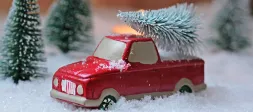 Article Mon-Bucheron.com : Choisir votre sapin de Noël idéal : un guide comparatif des différentes espèces