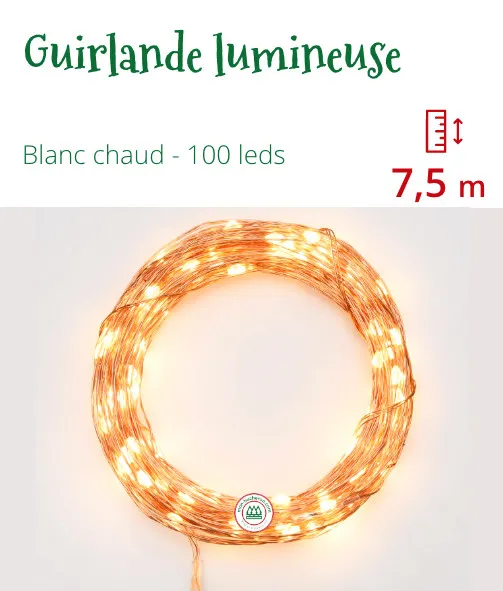 Achetez Corde Lumineuse avec Fil de 100 LEDs Blanc Chaud➤Modalyssa